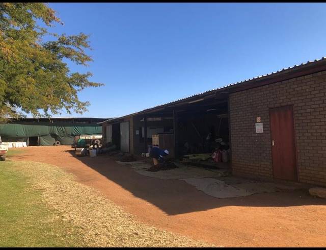 FARM FOR SALE IN THABAZIMBI
